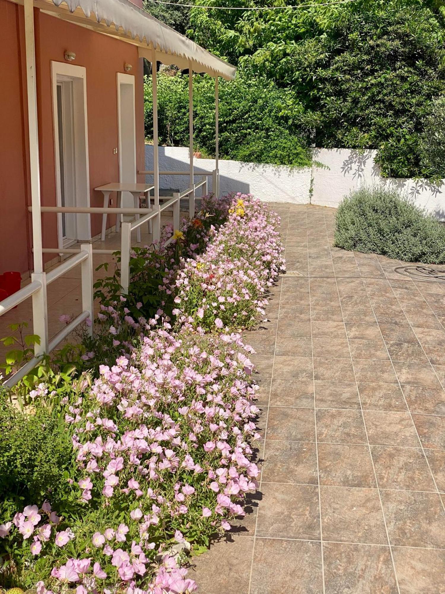 Paradiso Hotel Sea View And Pool Suites Ipsos Corfu Eksteriør billede